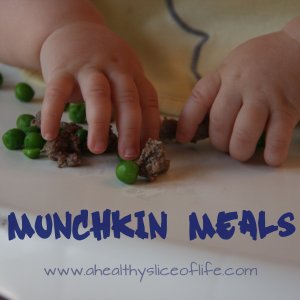 munchkin-meals-large